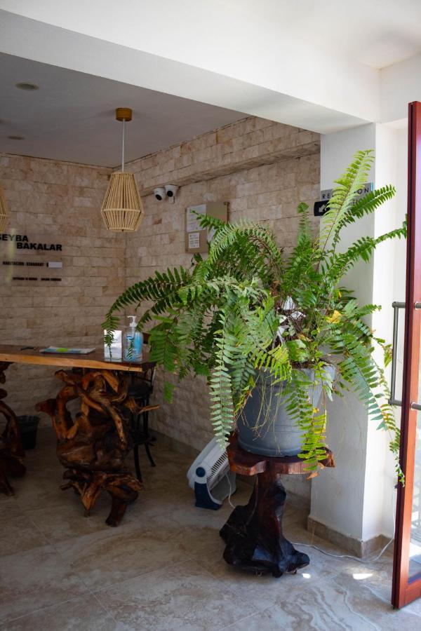 Hotel Seyba Bakalar Bacalar Εξωτερικό φωτογραφία